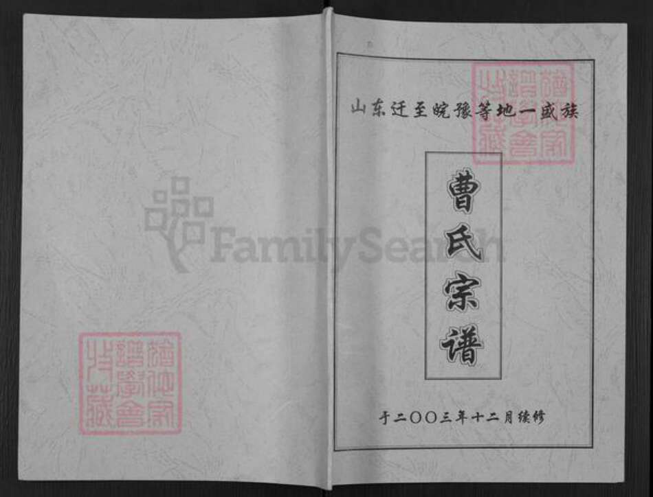 安徽省阜阳市阜南县新村镇曹氏族谱-曹氏宗谱.pdf电子版缩略图