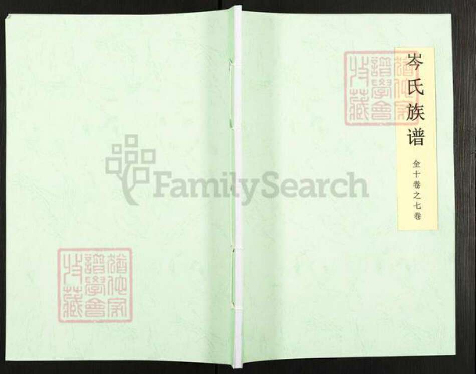 广西壮族自治区玉林平南大鹏镇岑氏族谱-岑氏族谱.pdf电子版