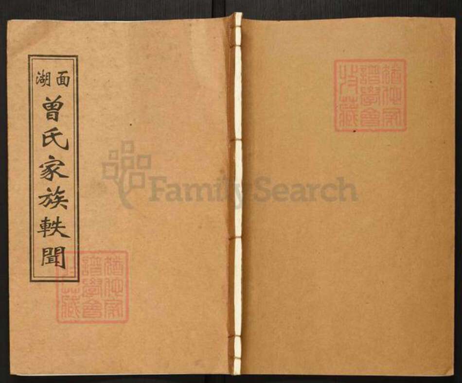 湖南省衡阳市衡阳县西渡镇曾氏圣与堂族谱-面湖曾氏家族轶闻.pdf电子版缩略图