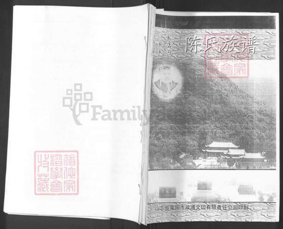 山东省烟台市栖霞市陈氏族谱-陈氏族谱.pdf电子版缩略图