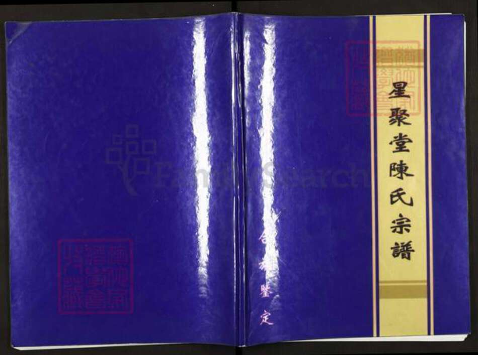 江苏省扬州市高邮市龙虬镇陈氏星聚堂族谱-星聚堂陈氏宗谱.pdf电子版缩略图