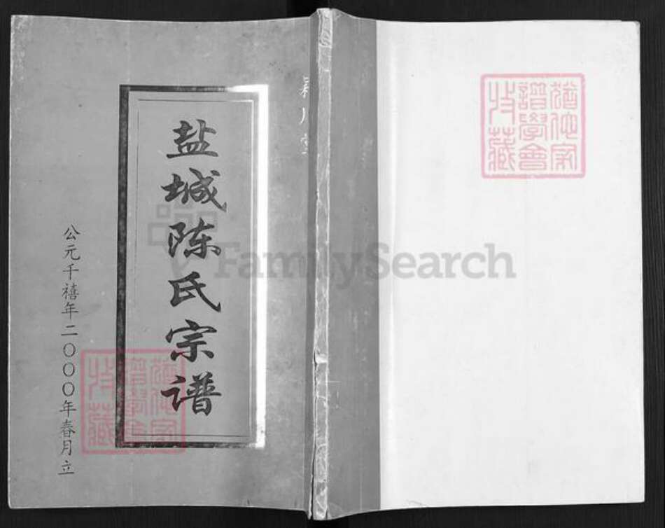 江苏省盐城市建湖县陈氏颖川堂族谱-盐城陈氏宗谱.pdf电子版缩略图