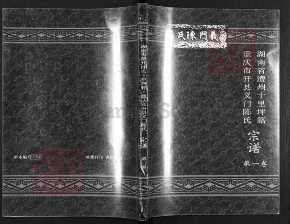 重庆市永川区临江镇陈氏族谱-陈氏宗谱.pdf电子版缩略图