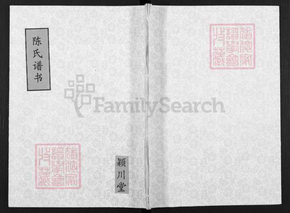 江苏省扬州市高邮市陈氏颖川堂族谱-陈氏谱书.pdf电子版缩略图