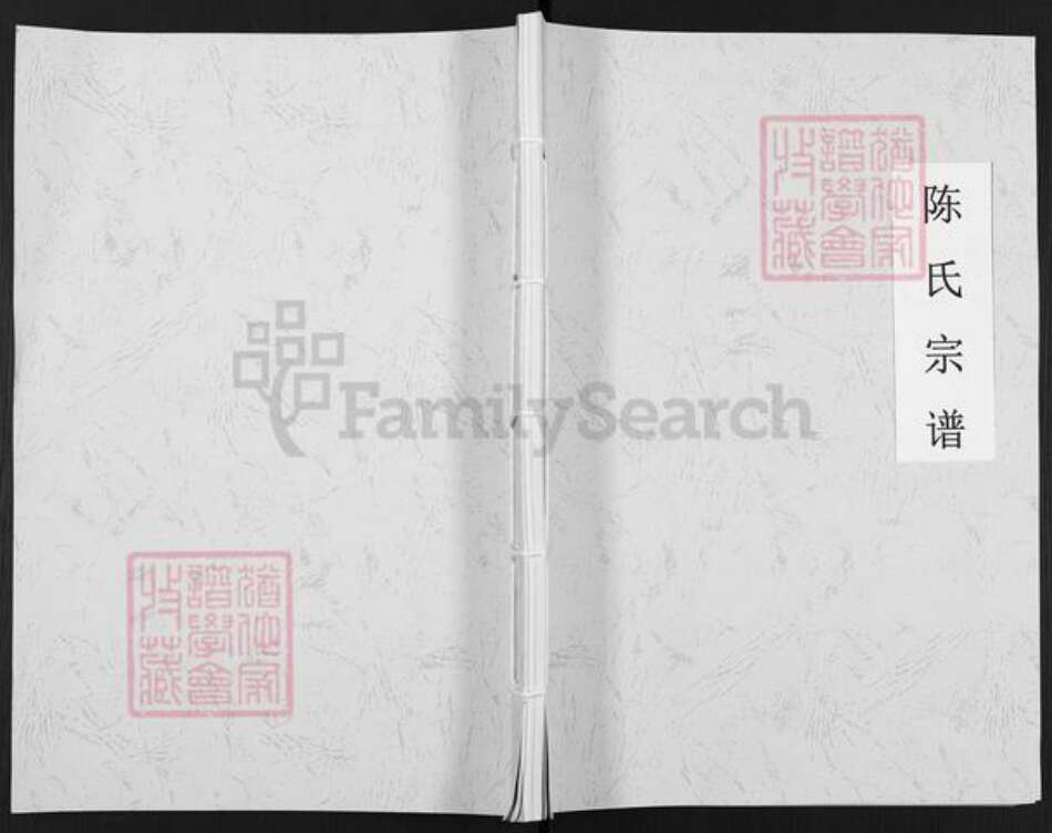 四川省泸州市叙永县分水镇陈氏族谱-陈氏宗谱.pdf电子版缩略图