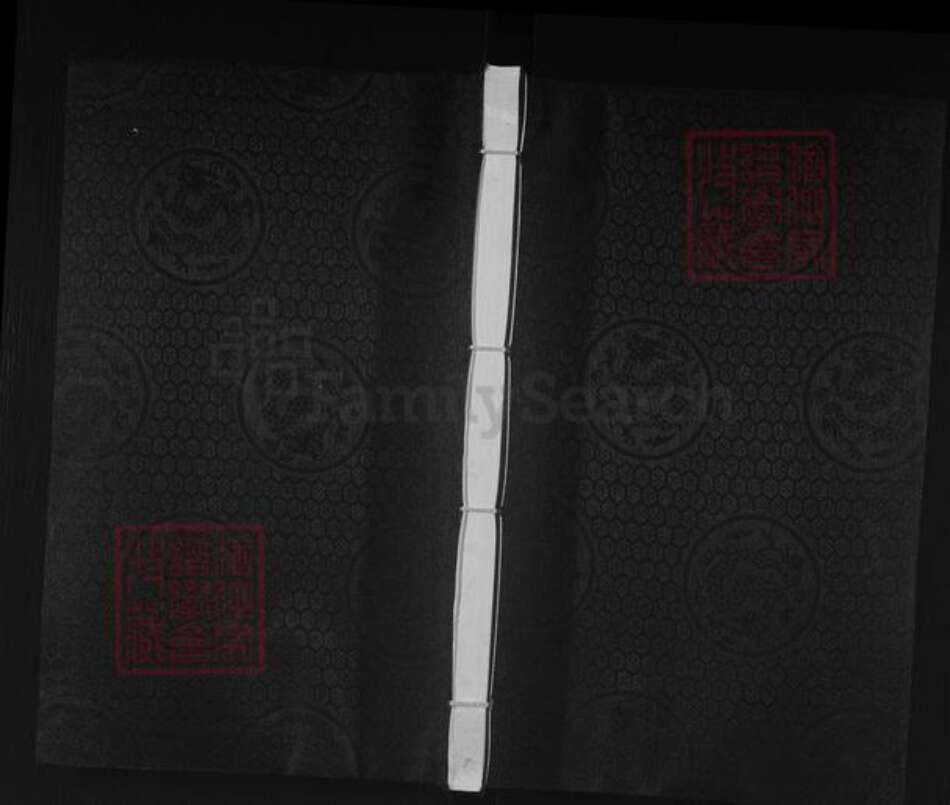 河北省沧州沧县薛官屯乡陈氏族谱-陈氏家谱.pdf电子版缩略图