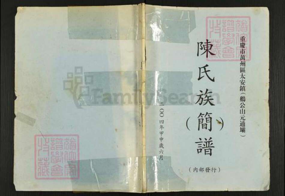 重庆市潼南区太安镇陈氏族谱-陈氏族(简)谱.pdf电子版缩略图