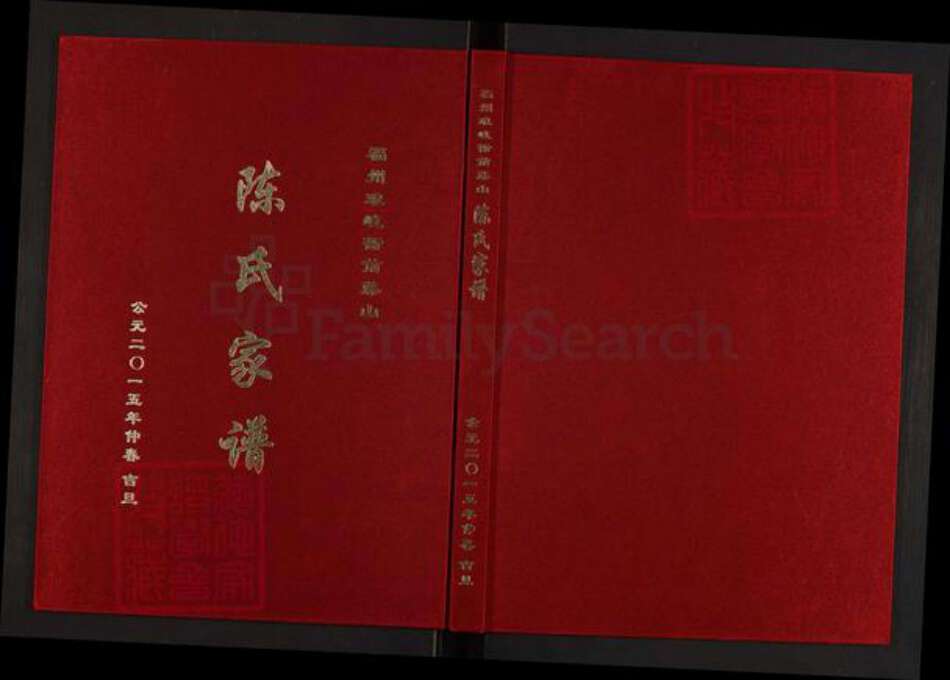 福建省福州市马尾区琅岐镇陈氏族谱-陈氏家谱.pdf电子版缩略图