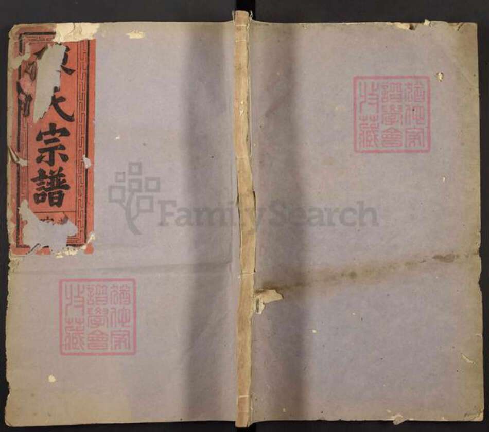 江西省抚州市南丰县白舍镇陈氏重华堂族谱-义门陈氏宗谱.pdf电子版缩略图