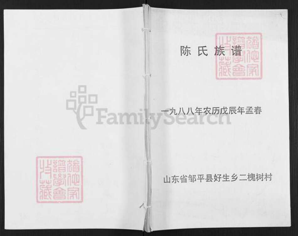 山东省滨州市邹平市好生街道陈氏族谱-陈氏族谱.pdf电子版缩略图