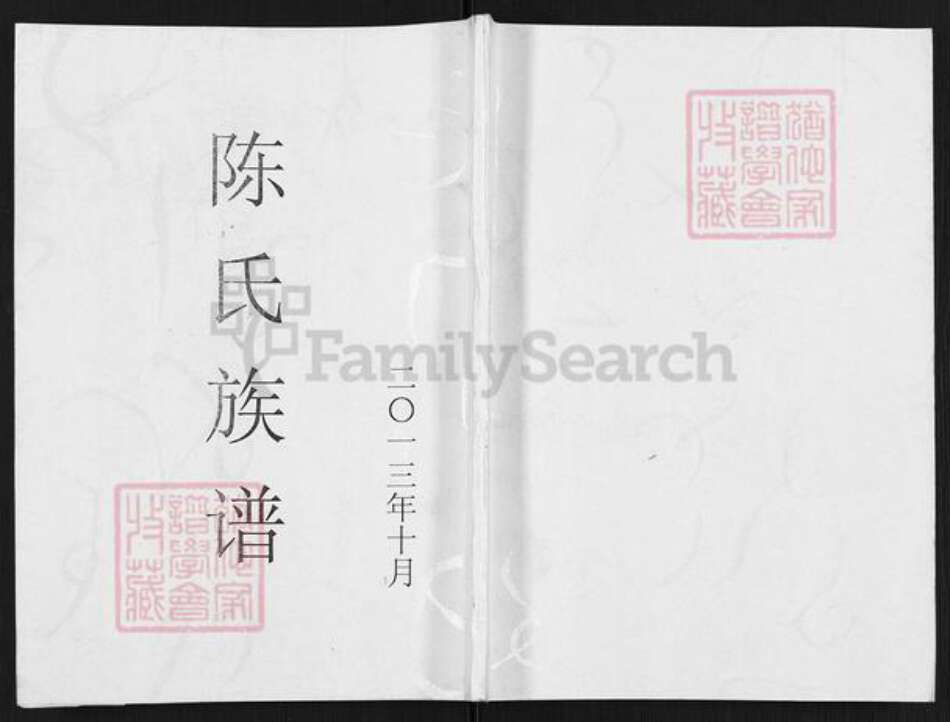 福建省南平市建阳区回龙乡陈氏颖川堂族谱-陈氏族谱.pdf电子版缩略图