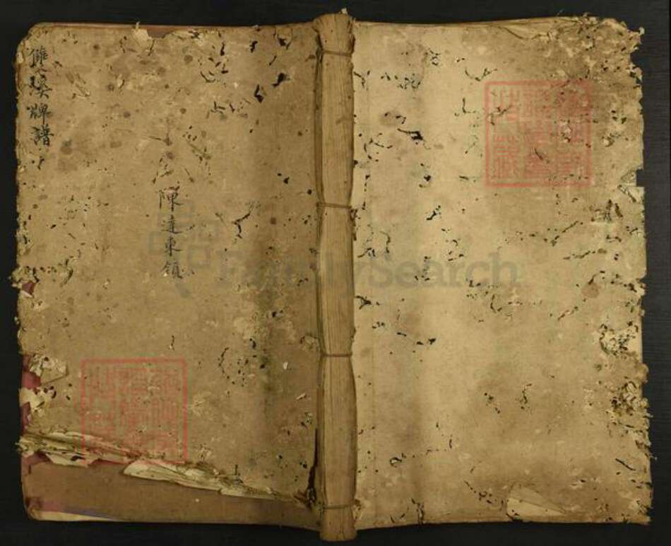 江西省赣州市宁都县蔡江乡陈氏追远堂族谱-双溪陈氏大祠牌谱.pdf电子版缩略图