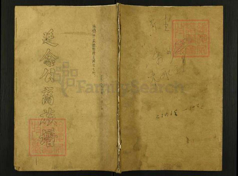 广东省河源市和平林寨镇陈氏族谱-廷念公裔祖谱.pdf电子版缩略图