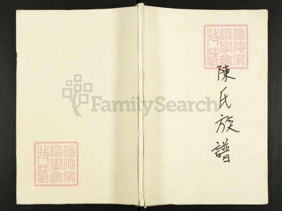 广东省肇庆市高要区蚬岗镇陈氏大德堂族谱-陈氏族谱.pdf电子版缩略图