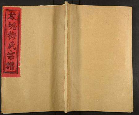 福建梅氏族谱-严塘梅氏宗谱.pdf电子版缩略图