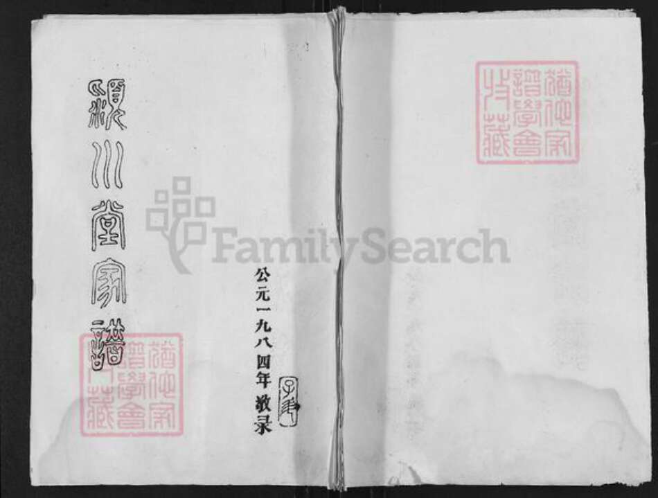 江苏省盐城市亭湖区陈氏颍川堂族谱-颍川堂家谱.pdf电子版缩略图