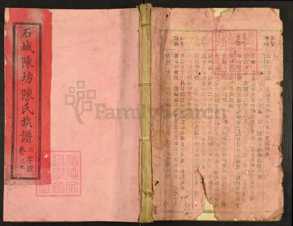 江西省赣州市石城县屏山镇陈氏族谱-石城陈坊陈氏族谱.pdf电子版缩略图