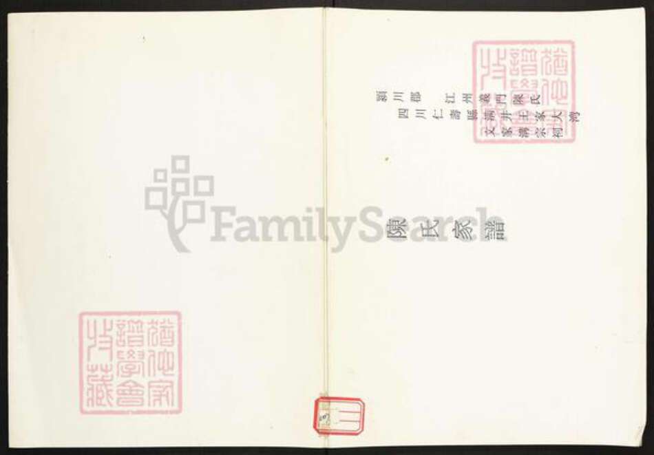 四川省眉山市眉山陈氏族谱-陈氏家谱.颍川郡江州义门陈氏四川仁寿县满井王家大湾.pdf电子版缩略图