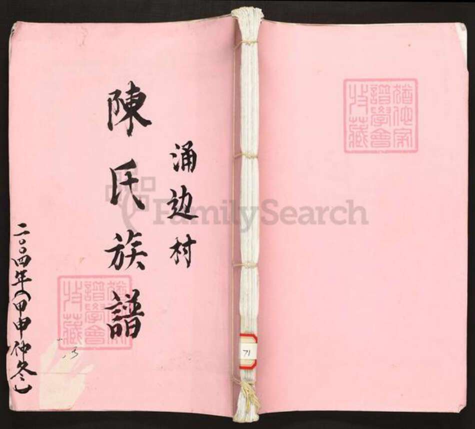 广东省广州市番禺区陈氏族谱-陈氏族谱.通边村.pdf电子版缩略图