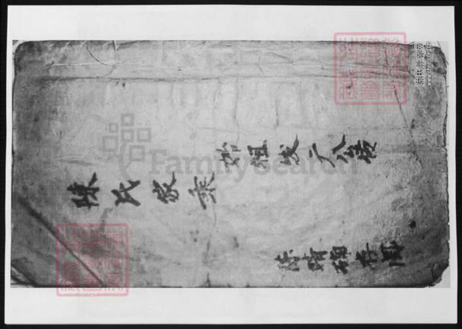 广东省河源市河源县陈氏族谱-陈氏家乘.pdf电子版缩略图