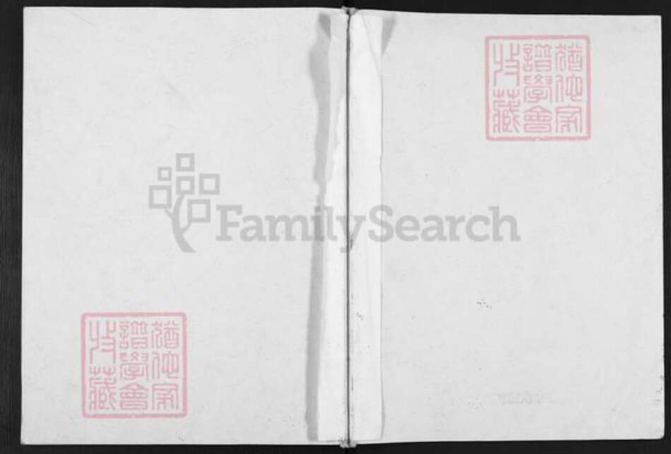 福建省三明市大田县华兴镇程氏裕后堂族谱-程氏族谱.pdf电子版缩略图