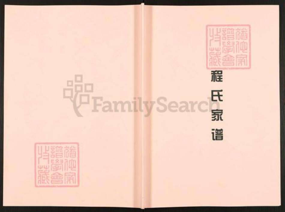 重庆市江津区贾嗣镇程氏族谱-程氏家谱.pdf电子版缩略图