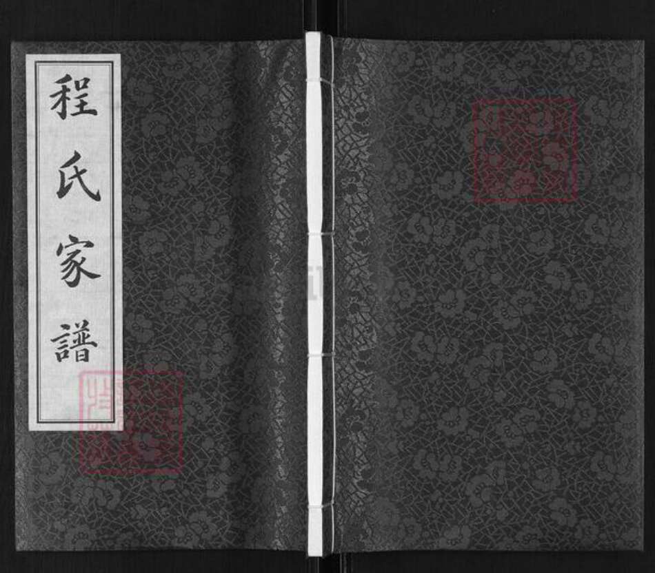 浙江省绍兴越城区程氏族谱-程氏家谱.pdf电子版缩略图