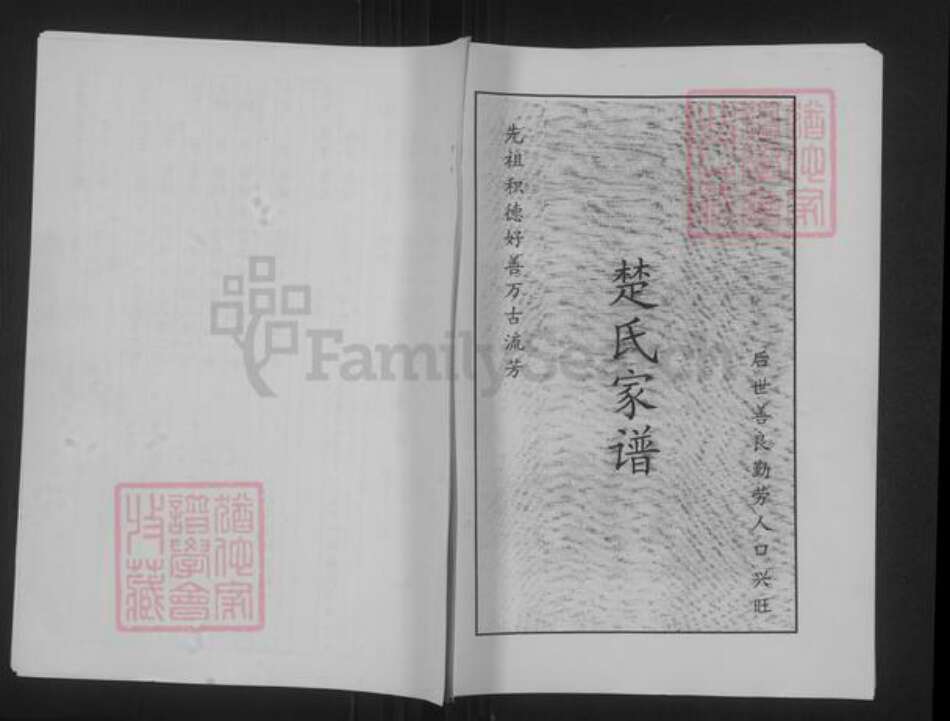 山东省聊城市聊城市沙镇镇楚氏族谱-楚氏家谱.pdf电子版缩略图