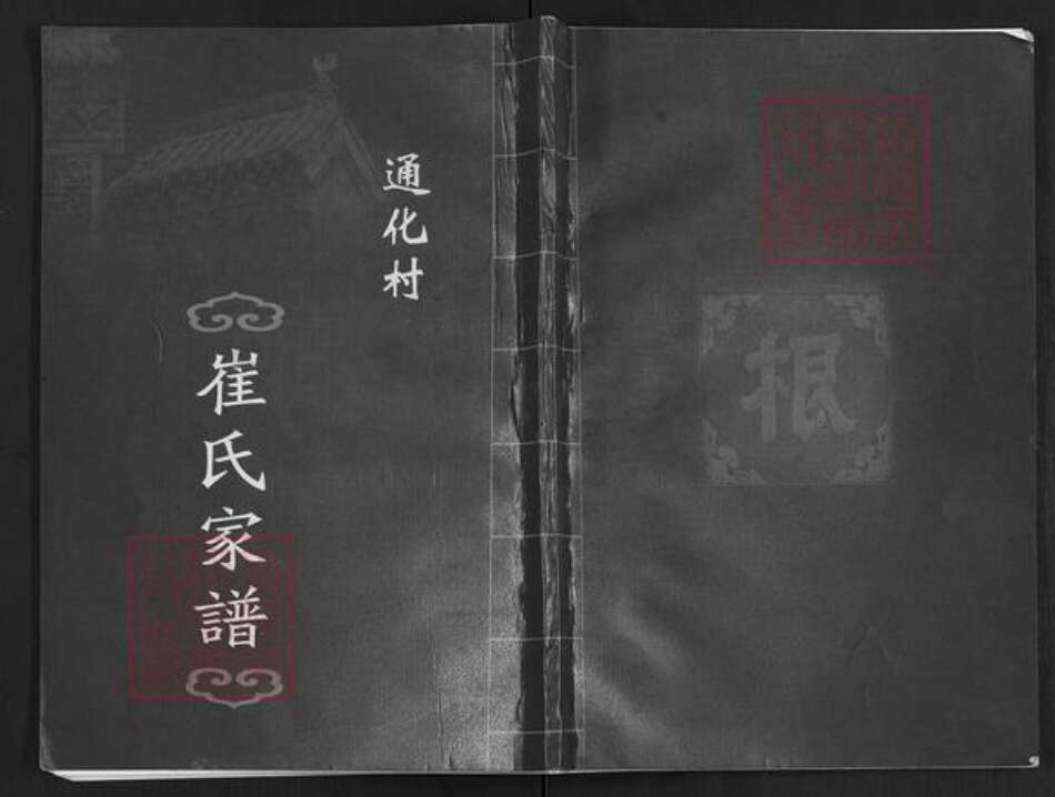 山西省运城市万荣县通化镇崔氏族谱-崔氏家谱.pdf电子版缩略图