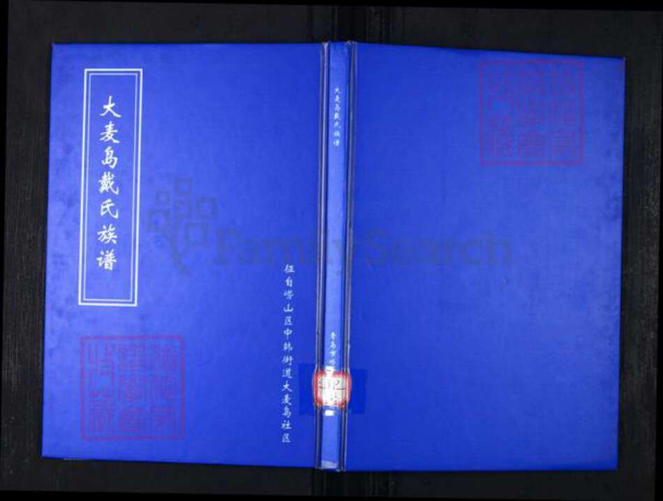 山东省青岛市崂山区戴氏族谱-大麦岛戴氏族谱.pdf电子版缩略图