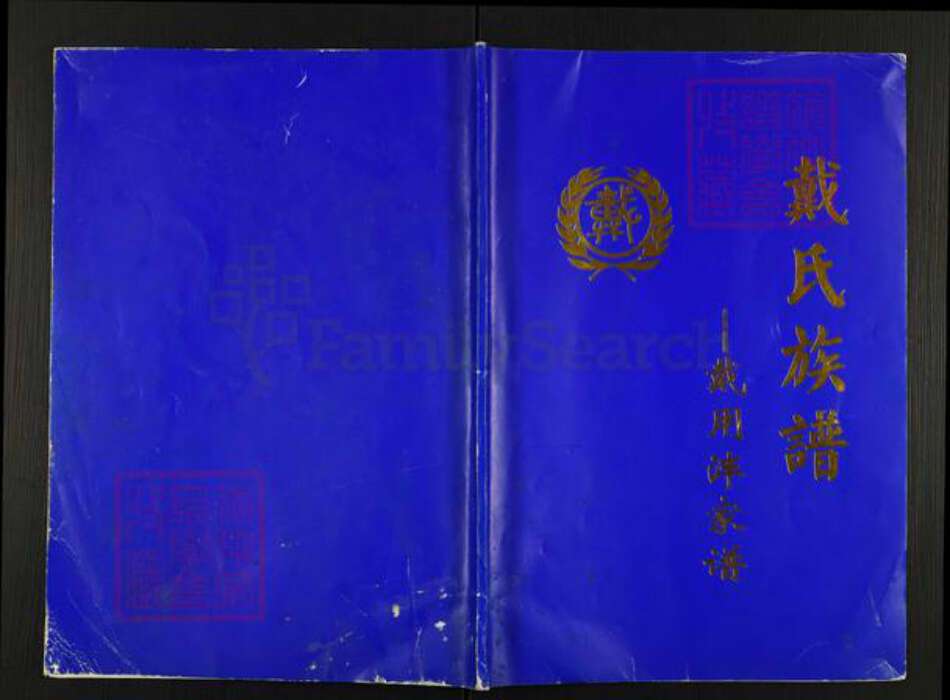 四川省资阳市安岳县护龙镇戴氏族谱-戴氏族谱.戴用泮家谱.pdf电子版缩略图
