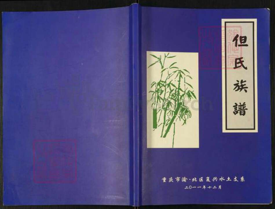 重庆市渝北区但氏族谱-但氏族谱. 重庆市渝北区复兴水土支系.pdf电子版