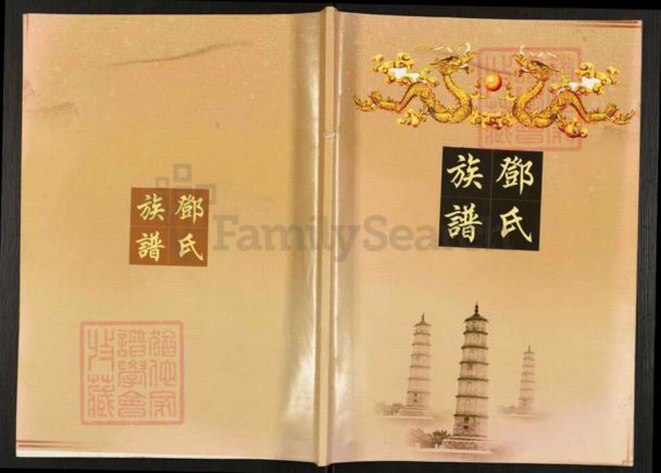 四川省眉山市仁寿县谢安镇邓氏族谱-邓氏族谱.pdf电子版缩略图