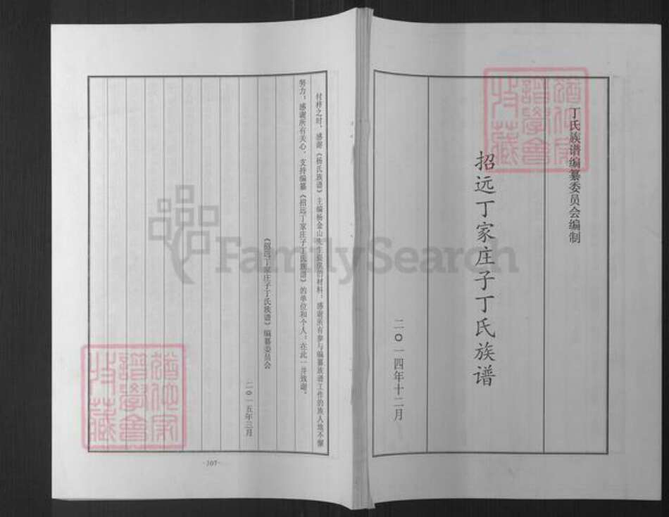 山东省烟台市招远市罗峰街道丁氏族谱-招远丁家庄子丁氏族谱.pdf电子版缩略图