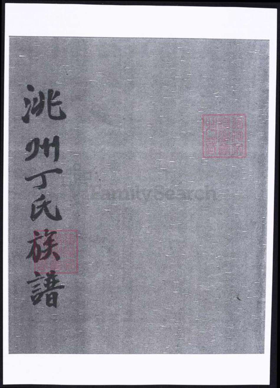 甘肃省定西市临洮县丁氏族谱-洮州丁氏族谱.pdf电子版缩略图