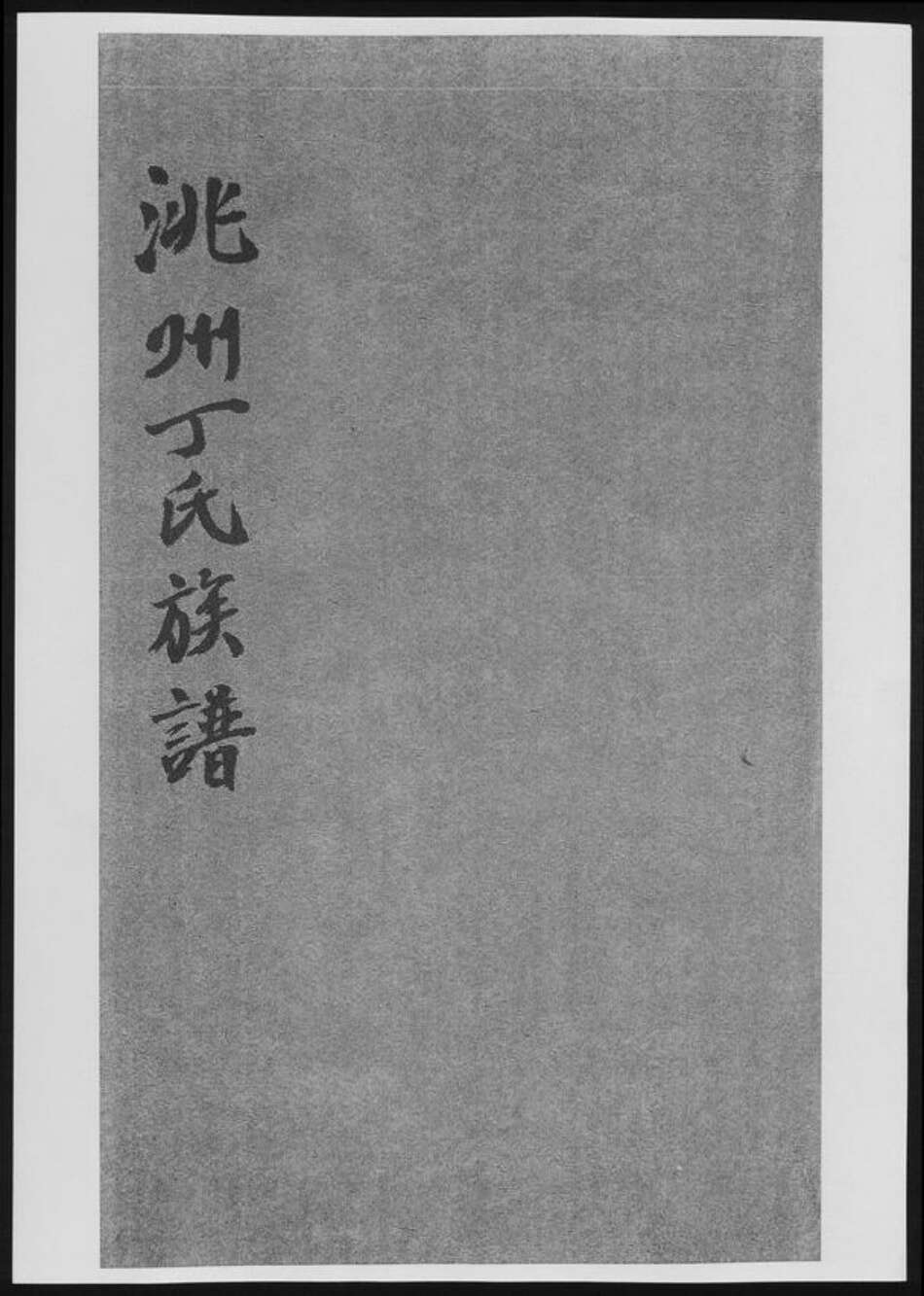 甘肃省甘南藏族自治州临潭县丁氏族谱-洮州丁氏族谱.pdf电子版缩略图