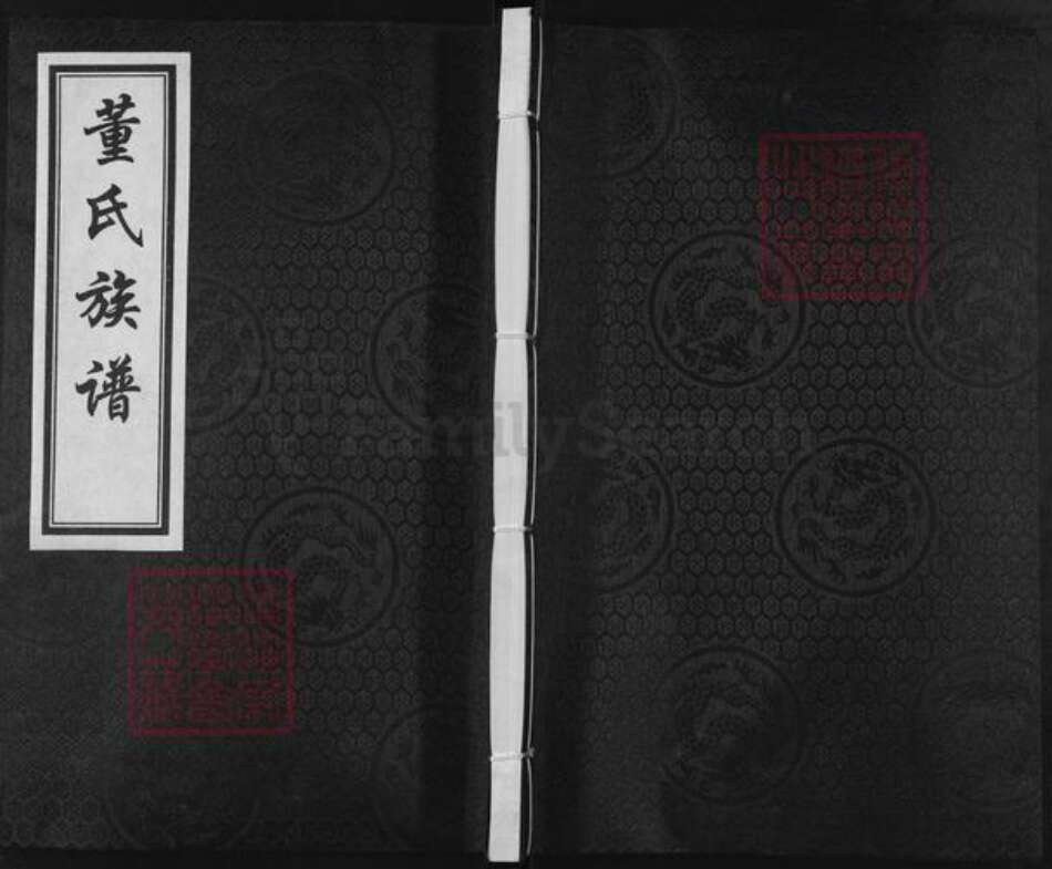 河北省沧州盐山县望树镇董氏族谱-董氏族谱.pdf电子版缩略图