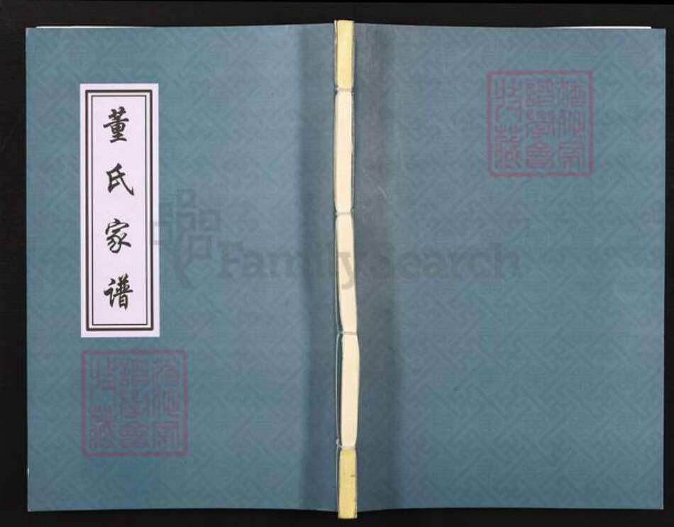 山东省淄博市张店区南定镇董氏族谱-董氏家谱.pdf电子版缩略图