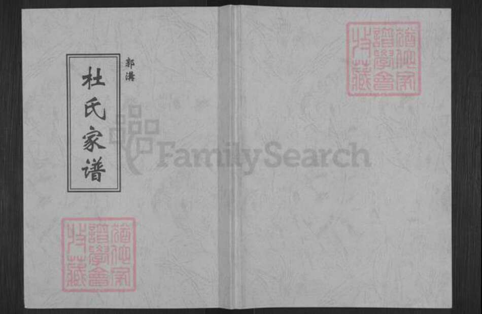 河南省郑州市登封市石道乡杜氏族谱-杜氏家谱.pdf电子版缩略图