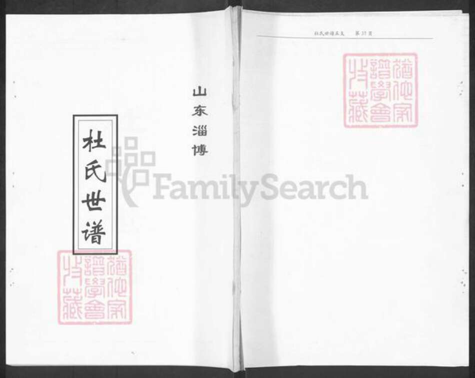 山东省淄博市淄川区杜氏族谱-杜氏世谱.pdf电子版缩略图