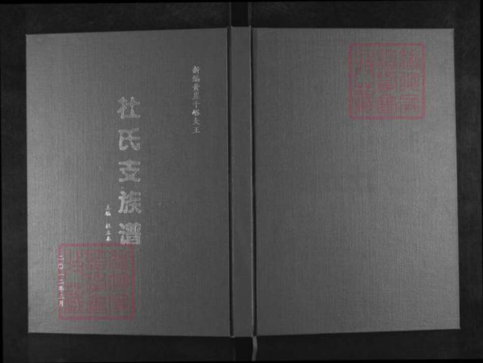 山东省淄博市淄川区杜氏族谱-新编黄崖千峪大王.杜氏支族谱.pdf电子版缩略图