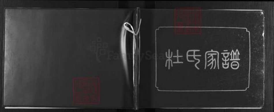 甘肃省庆阳市镇原县杜氏族谱-杜氏家谱.pdf电子版缩略图