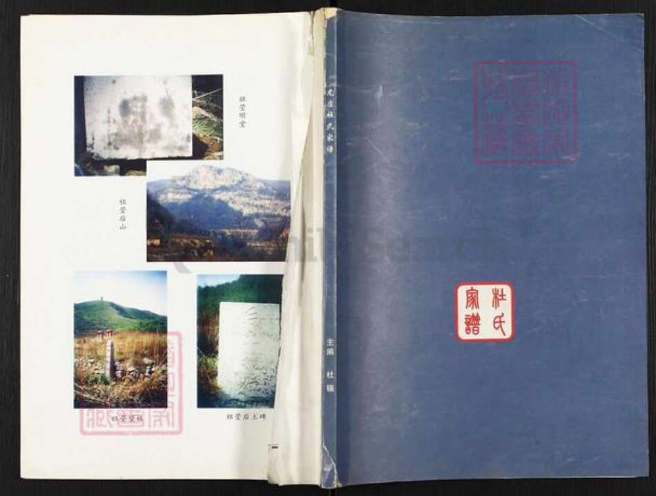 山西省阳泉市平定县巨城镇杜氏族谱-杜氏家谱.pdf电子版缩略图