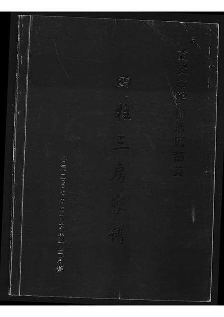 福建潘氏族谱-[潘氏]南安市炉内潘厝慕美.四柱三房家谱.pdf电子版缩略图