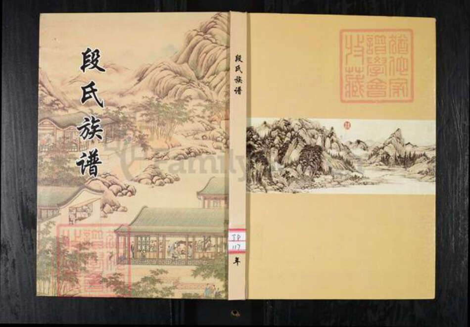 山东省青岛市段氏族谱-段氏族谱.pdf电子版缩略图