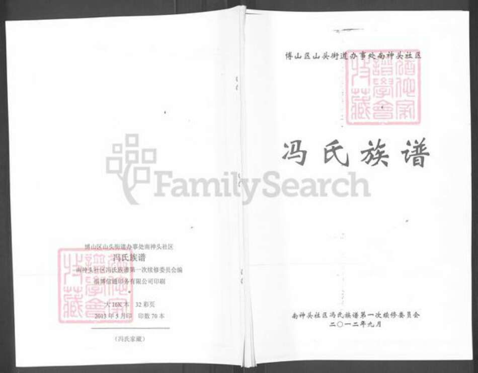 山东省淄博市博山区冯氏富厚堂族谱-冯氏族谱.pdf电子版缩略图