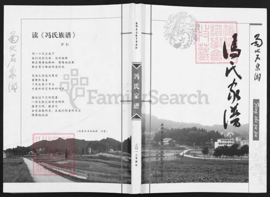 四川省南充市南部县冯氏族谱-冯氏家谱.pdf电子版缩略图