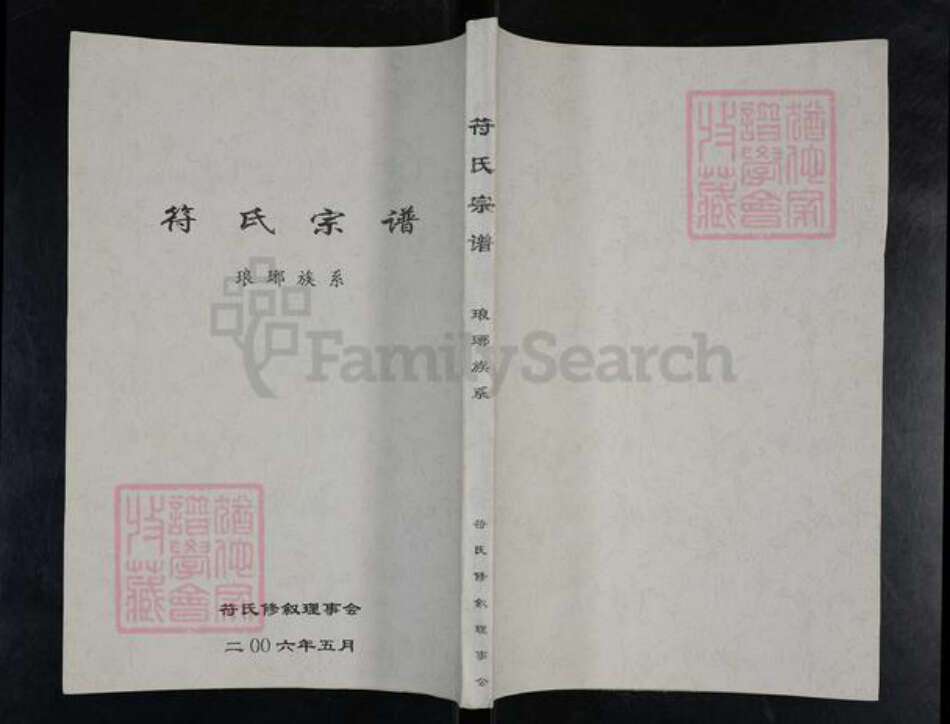 山东省临沂市兰山区符氏族谱-符氏宗谱.琅琊族系.pdf电子版缩略图