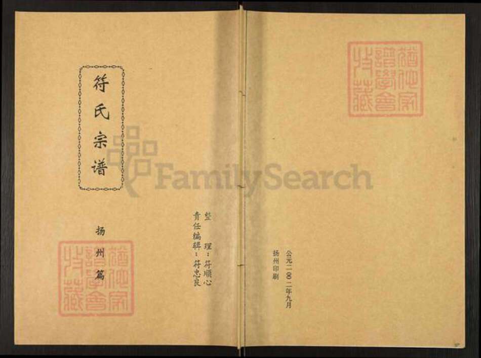 江苏省扬州市广陵区汤汪乡符氏琅琊堂族谱-符氏宗谱.pdf电子版缩略图