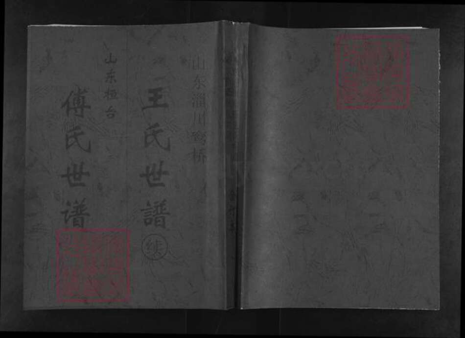 山东省淄博市桓台县新城镇傅氏族谱-傅氏世谱.pdf电子版缩略图